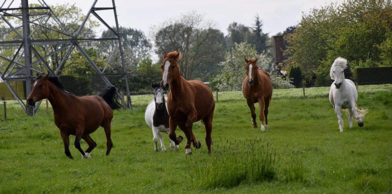 Ferme De La Forterie Verlinghem Bagian luar foto